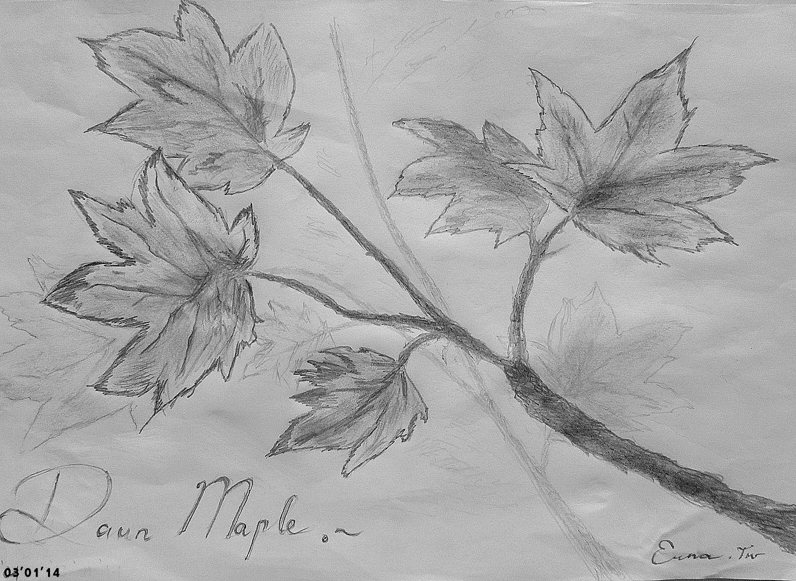 Gambar daun maple, menggambar dengan pensil, erna, menggambar, belajar menggambar