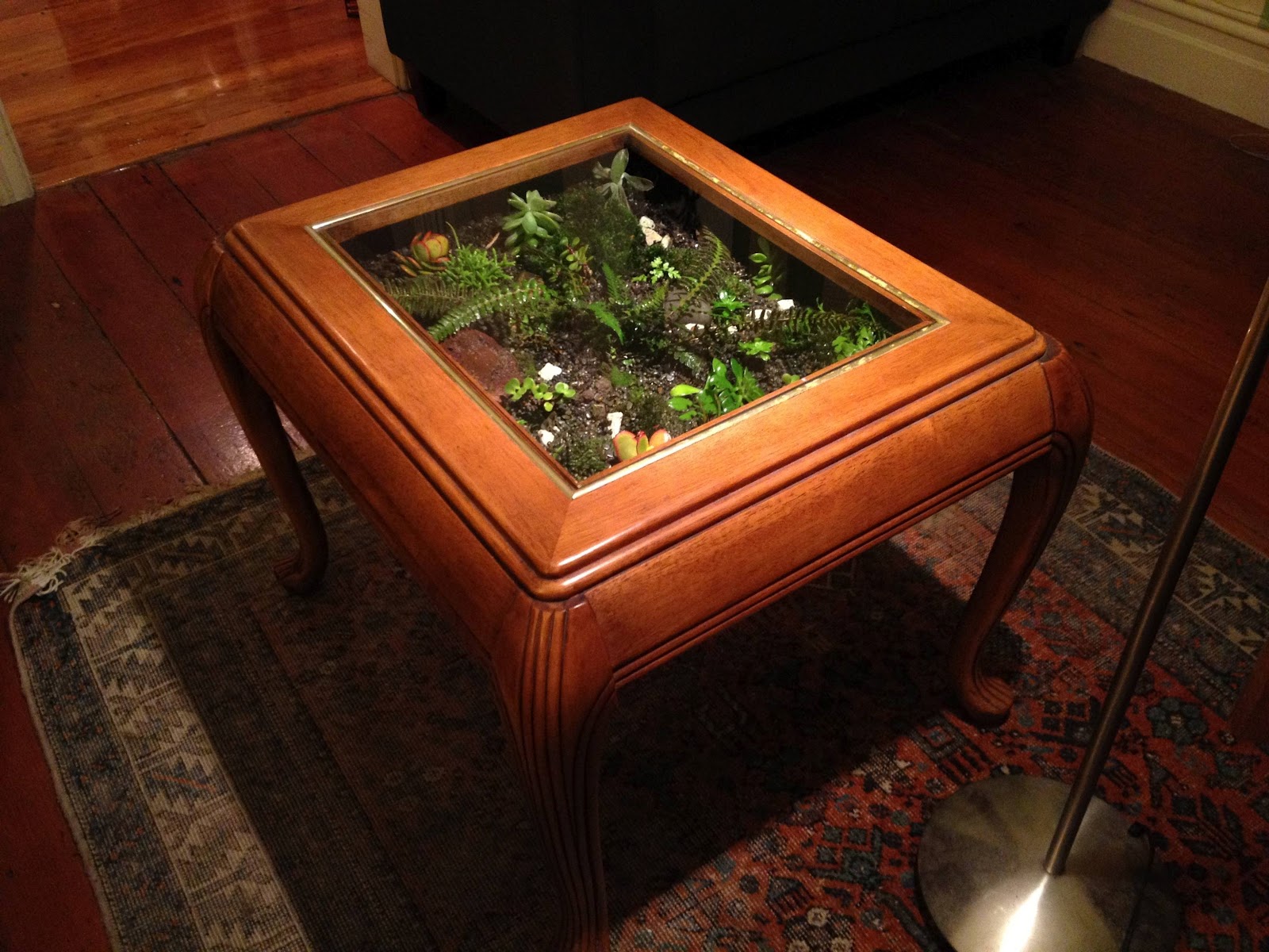 The Fern and Mossery: Coffee Table Terrarium