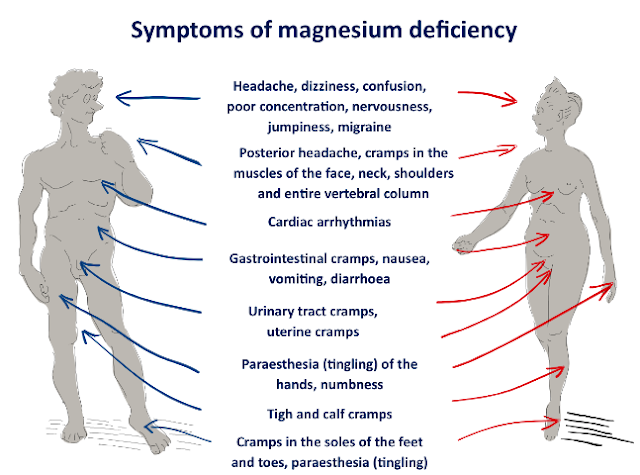Diabetes Symptoms Low Magnesium Levels Connected