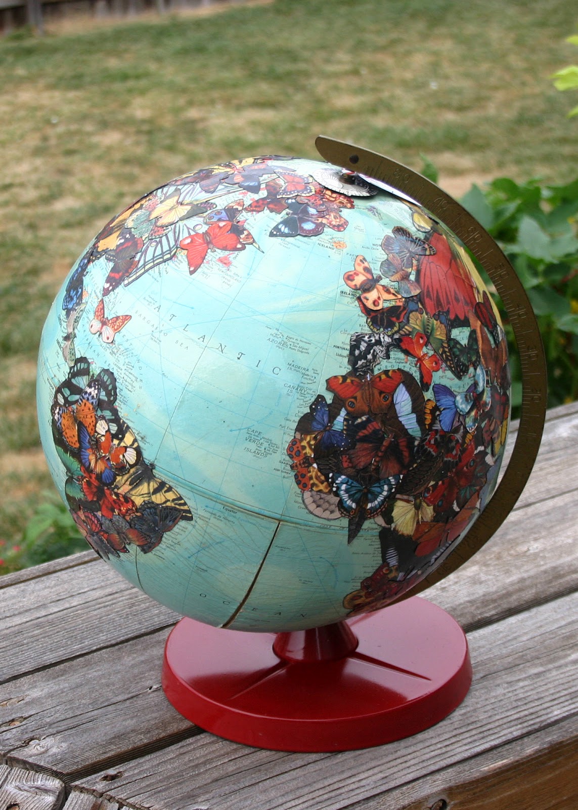 EverBlooming Butterfly Globe