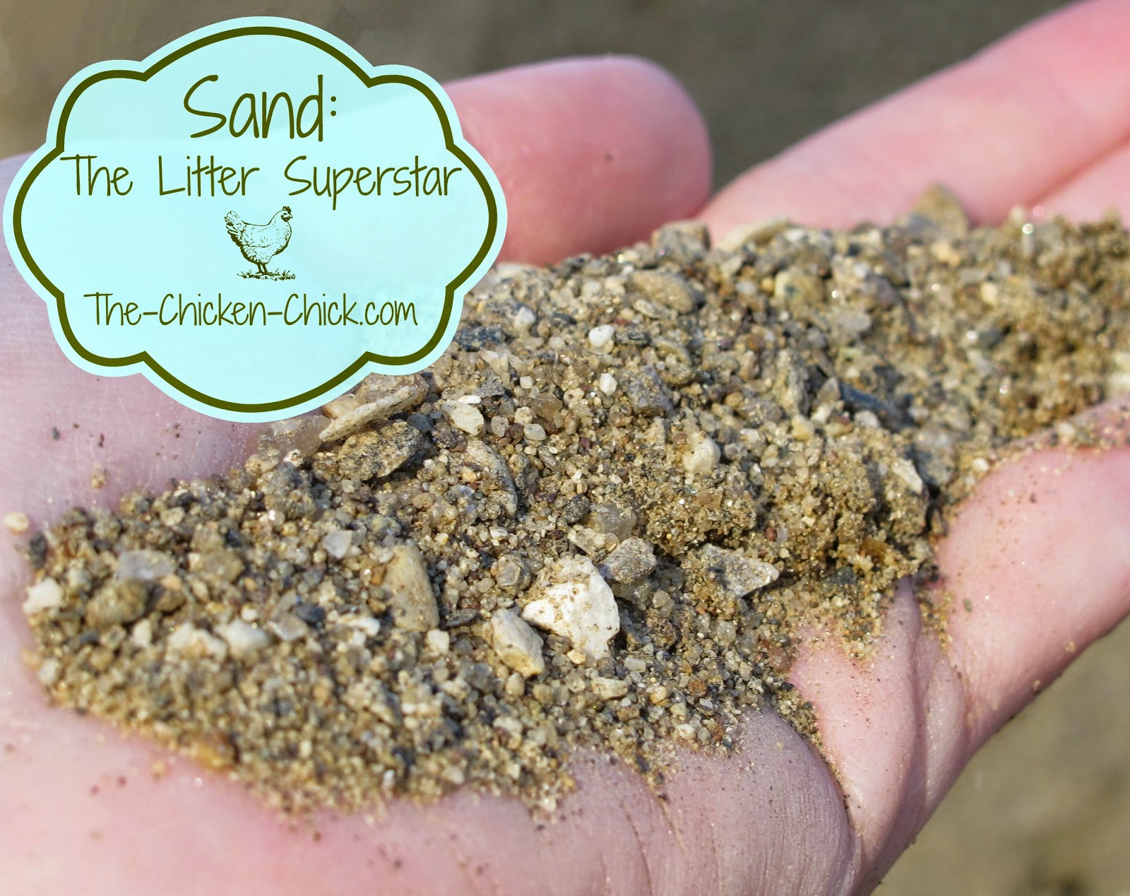 The Chicken Chick® Chicken Coop Bedding Sand, the Litter Superstar
