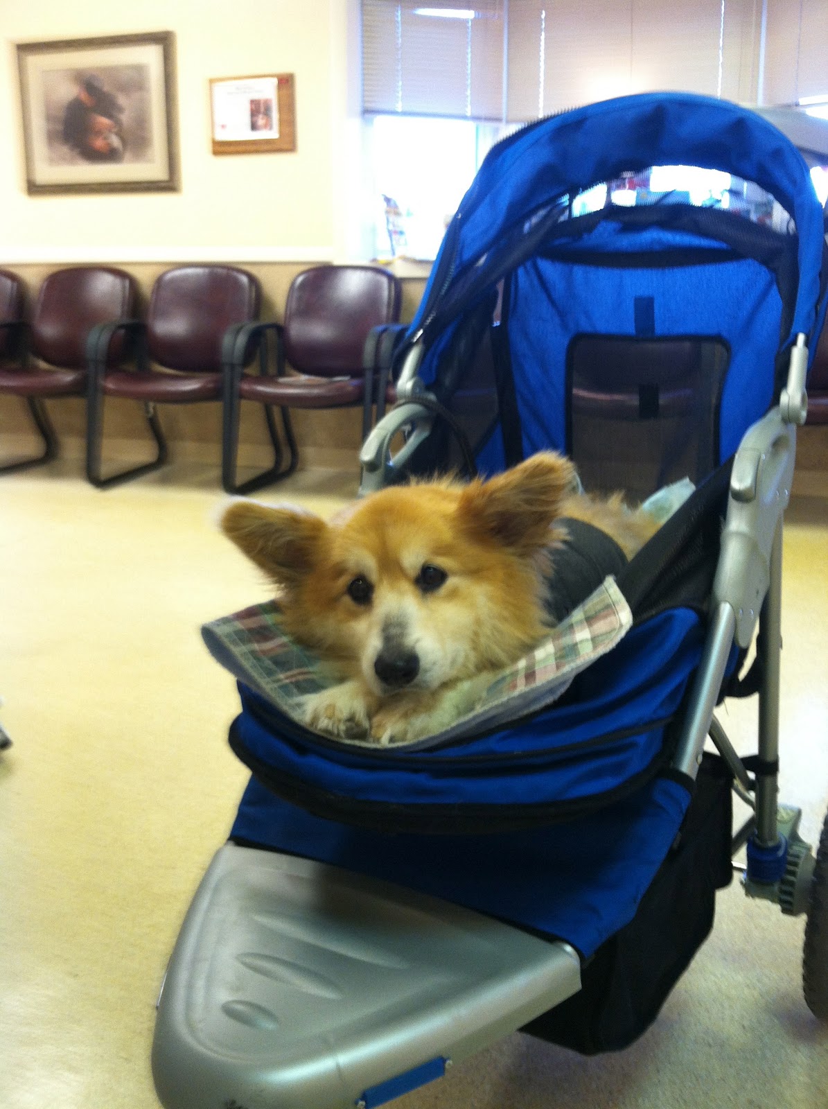 Llyr a Welsh with DM