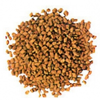 Fenugreek