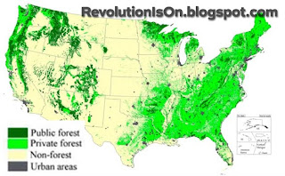 Forest Zones