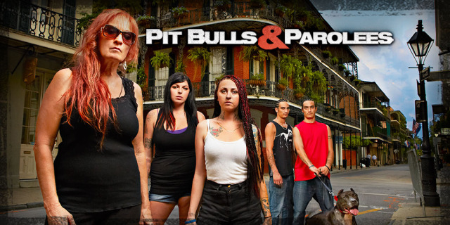 Resultado de imagem para pit bulls e condenados