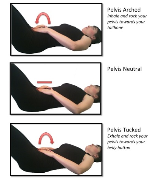 The Pilates Studio's Blog All Things Bridge in Pilates