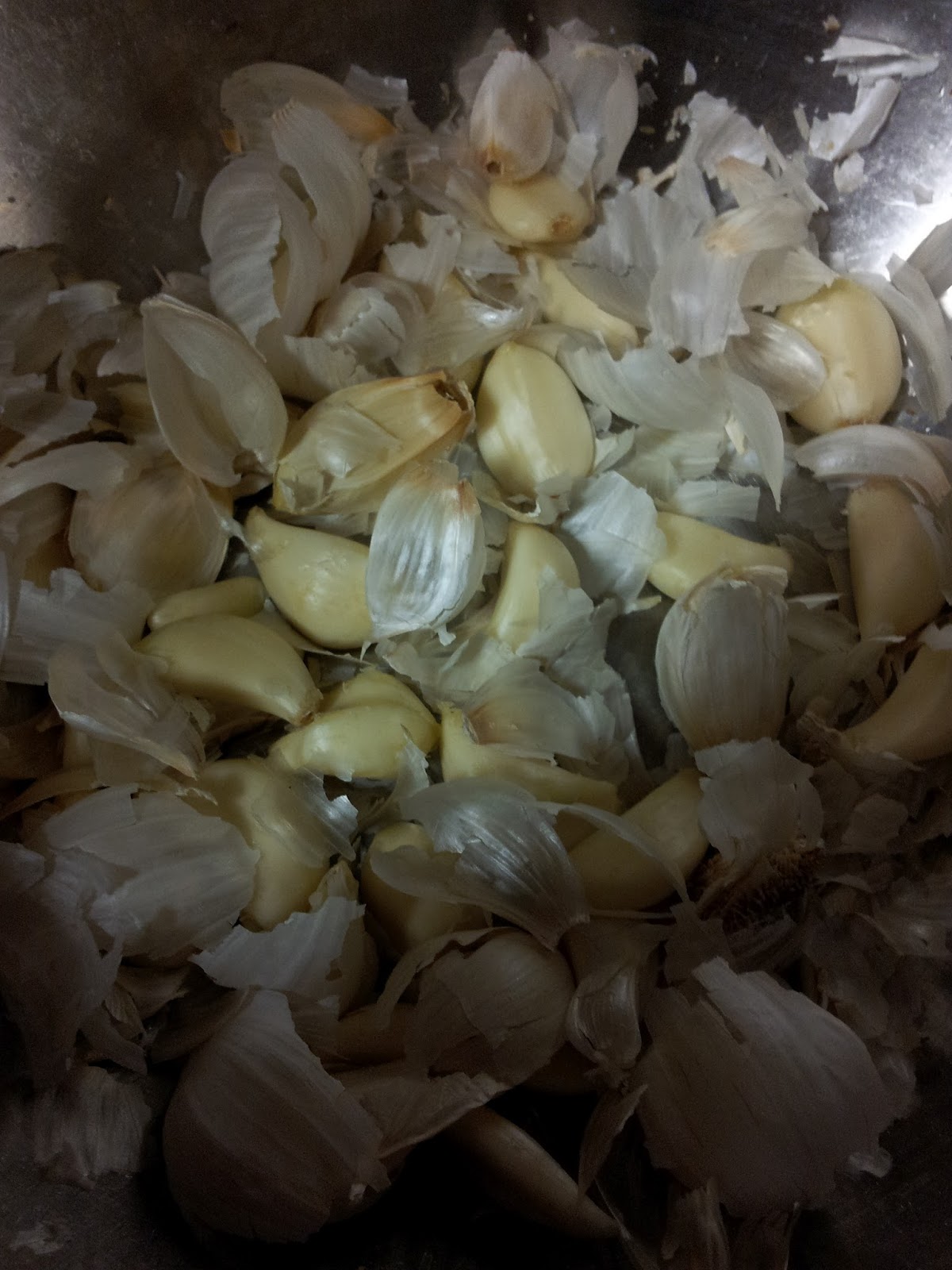 the leopard lizard Garlic