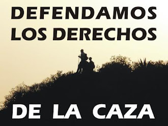 Los Derechos