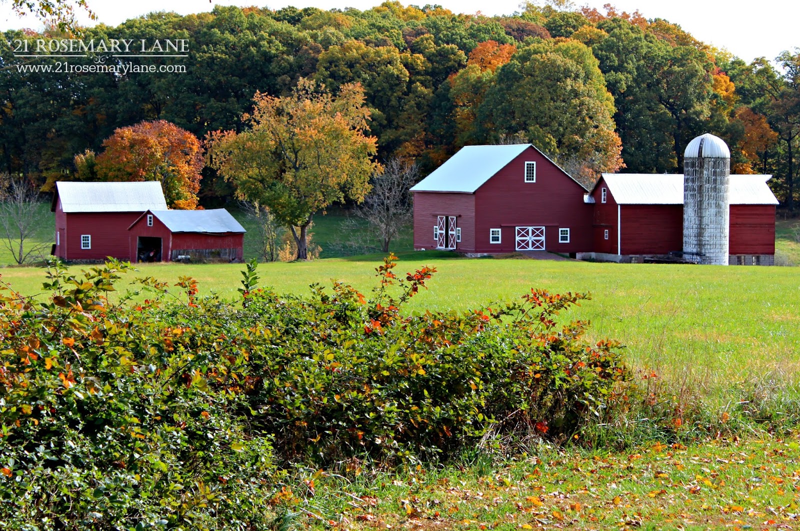 21 Rosemary Lane Autumn in Hunterdon County