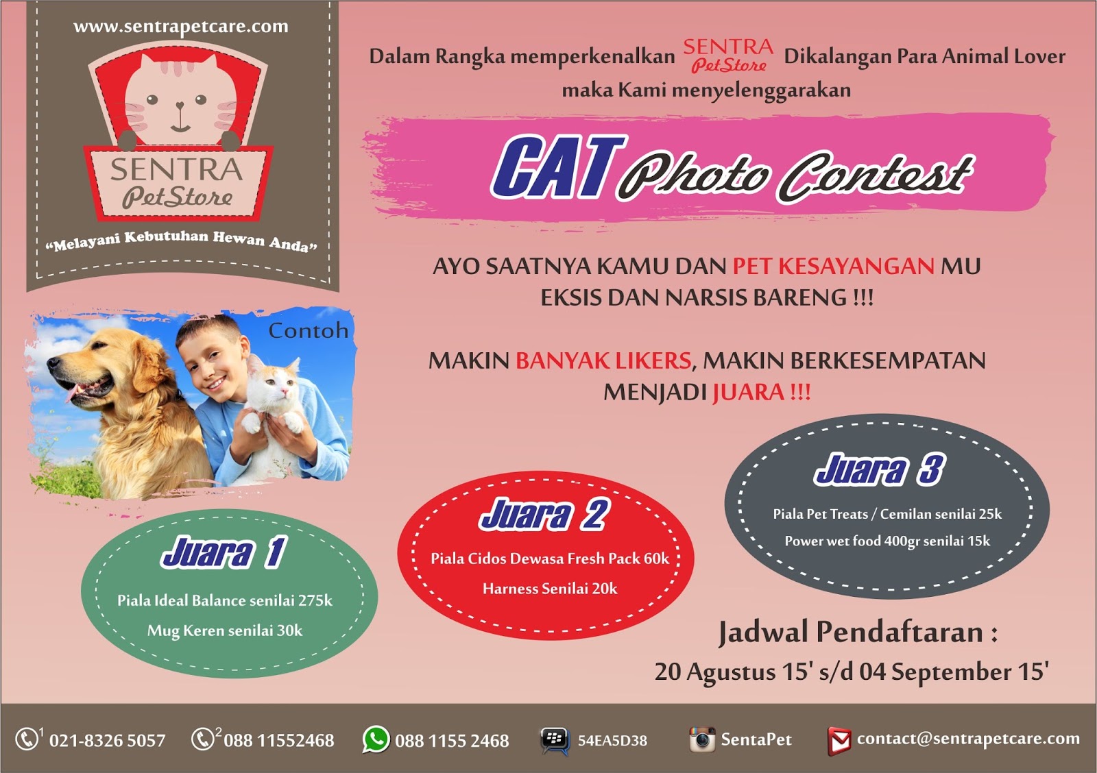 elooktruemedia 2D All Project's