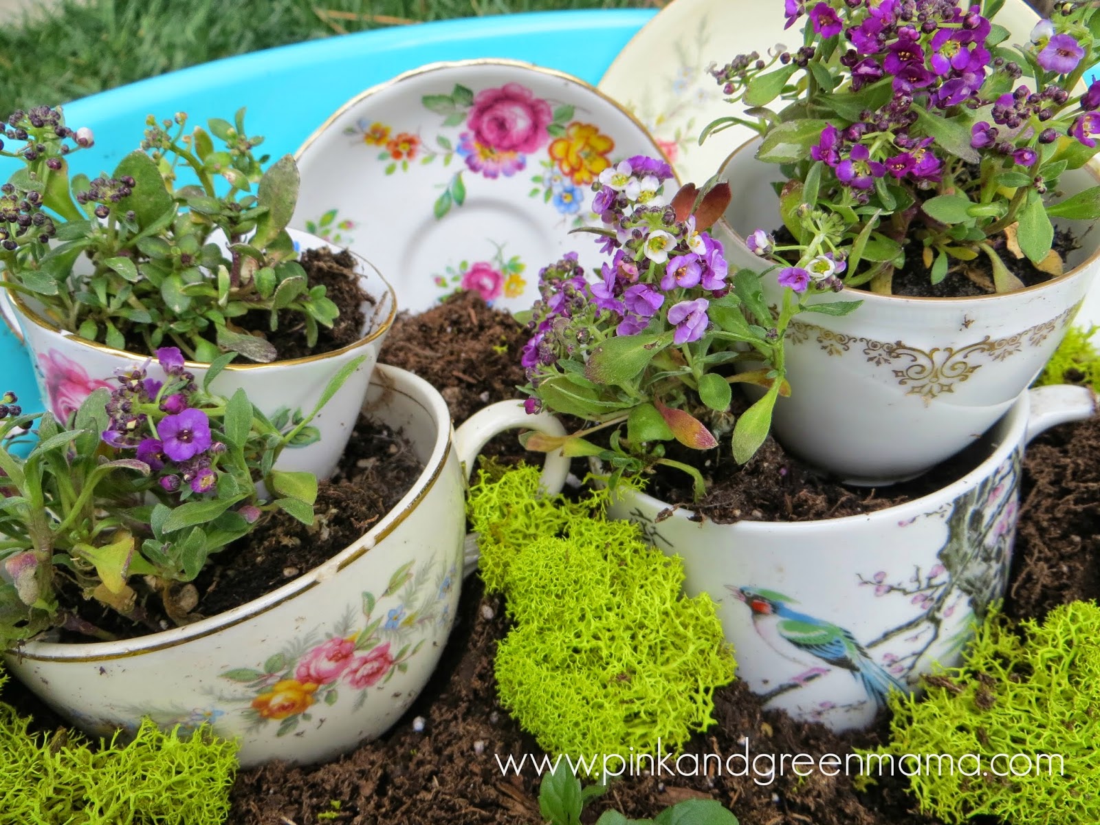 Tea Cup Garden Inspiration Behind