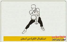 كرة الطائره 2015