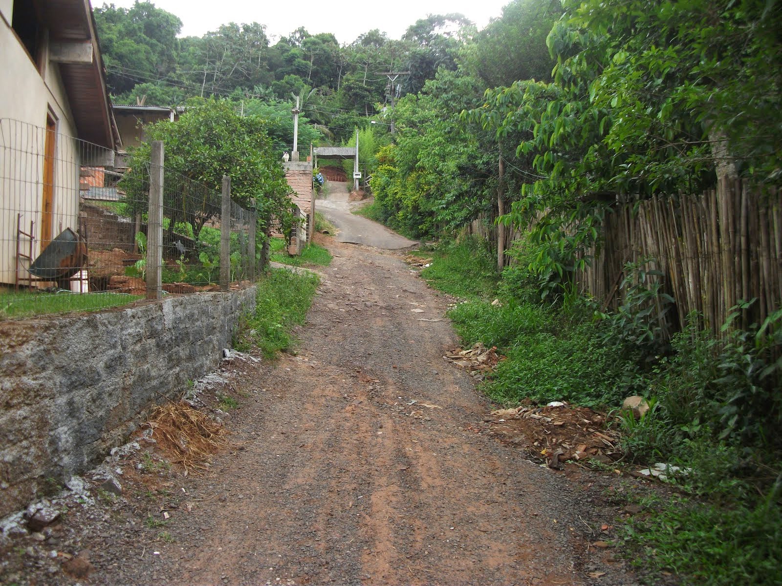 VEREADOR QUER OBRAS NO QUATRO COLÔNIAS NORTE