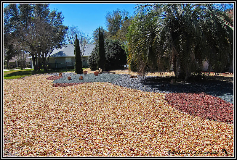 Ocala, Central Florida & Beyond: Rock yard