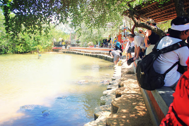Turtle island,Tanjung benoa,bal...