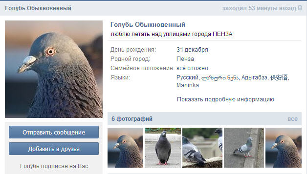 Секс Голубей На Русский Язык