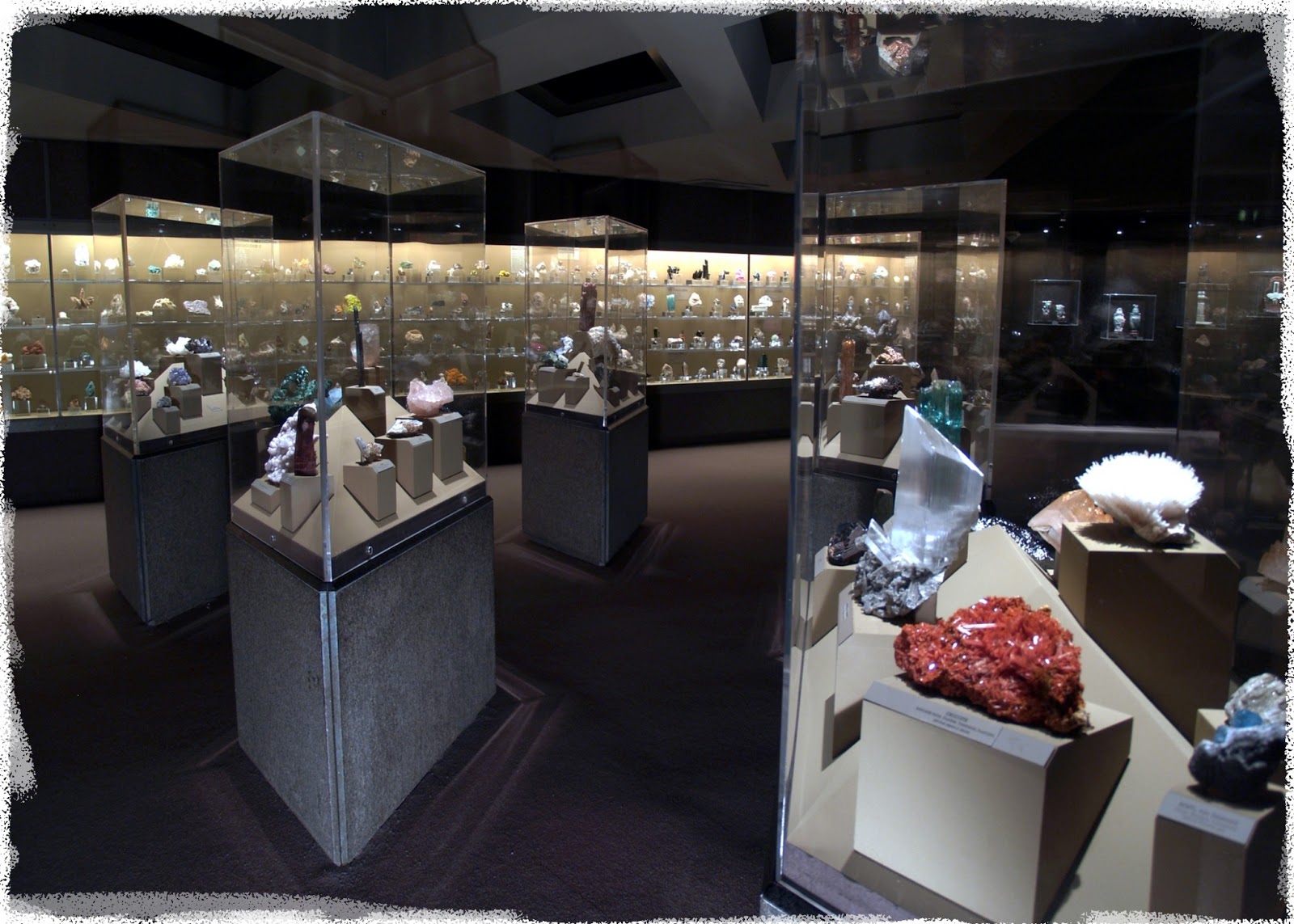 Natural History Museum of L.A. Minblog Newsletters