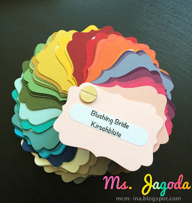 color coach msjagoda