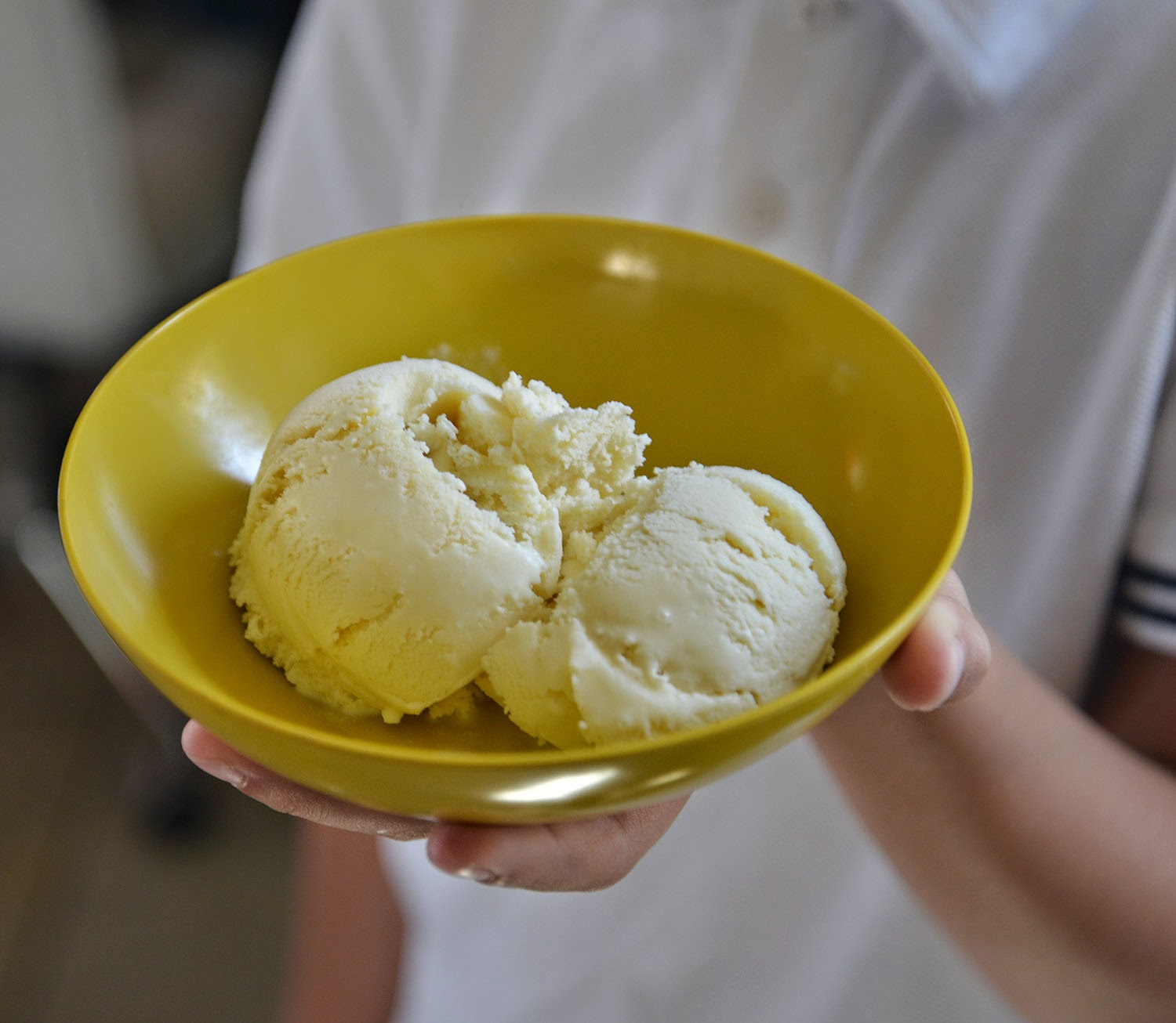 A school of fish Thomas Jefferson's Vanilla Ice Cream