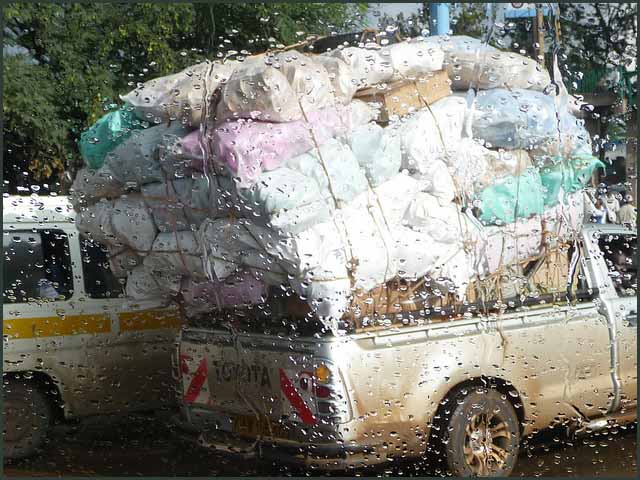 SAIJIKI FOR KENYA AND TROPICAL REGIONS Mitumba, mtumba