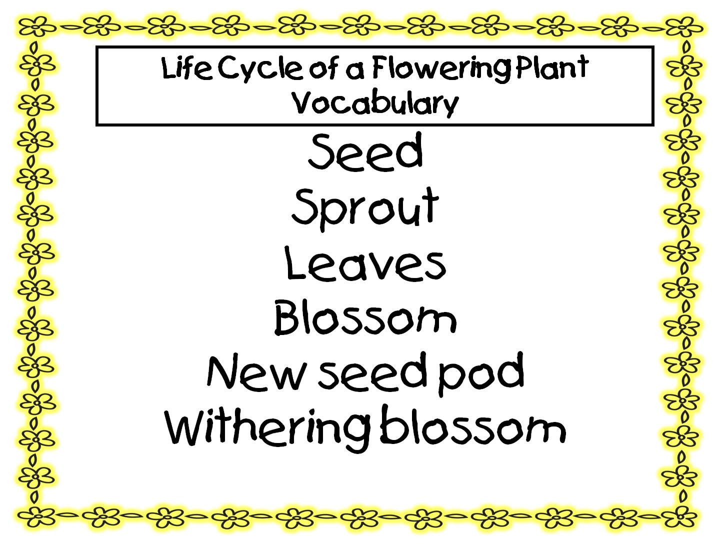 First Grade Wow Dandy Dandy Dandelion