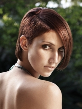 Short Hairstyle Of 2011 Amazing Short Haircut Pictures