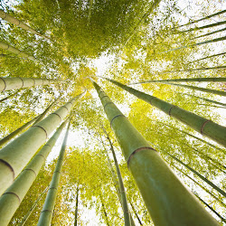 gambar pemandanag allam, fotografi alami, natural photos, wallpaper alam' border=