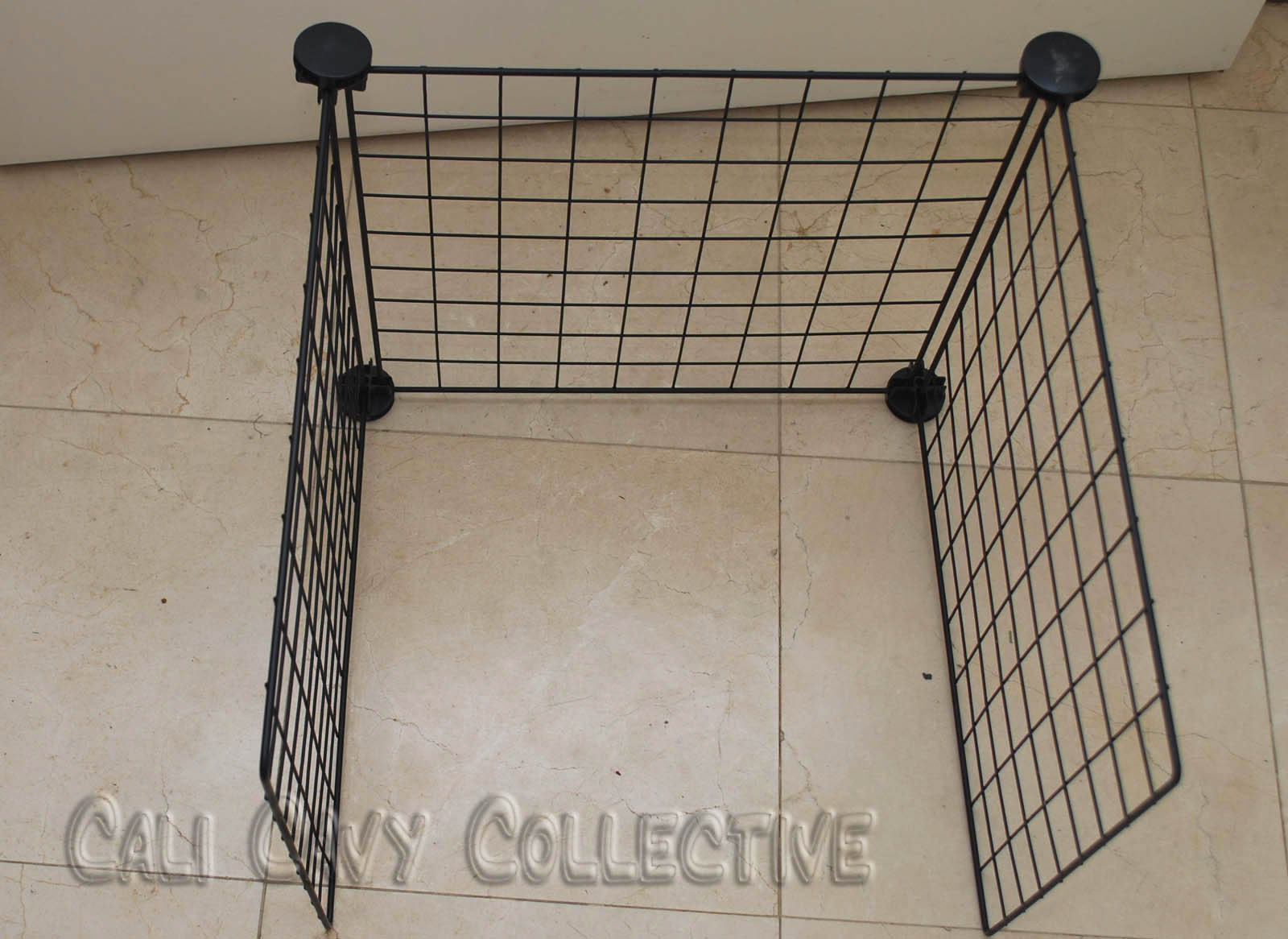 Cali Cavy Collective a blog about all things guinea pig Guinea Pig