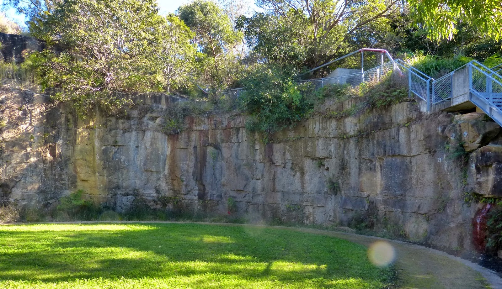 Ray's Retirement Sydney Balls Head Reserve