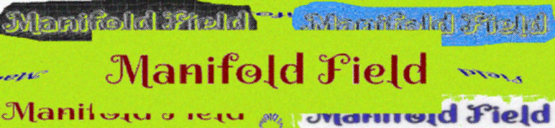 Manifold Field