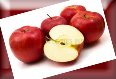 apple information  vitamin 