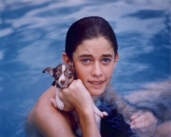 The Macomb Daily Blogs: The World According to Mandy: Hollywood's curse continues with Stallone