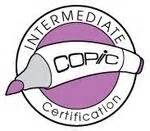 Intermediate Certification