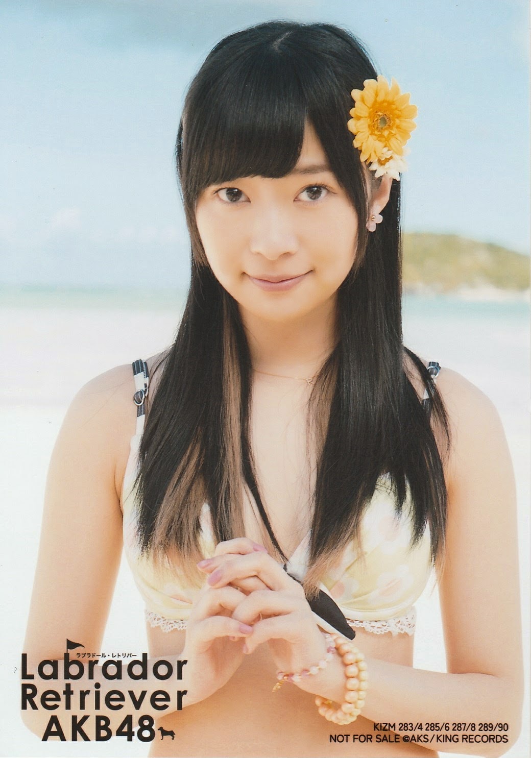 Photopack Sashihara Rino [Labrador Retriever] - Dorahana Blog