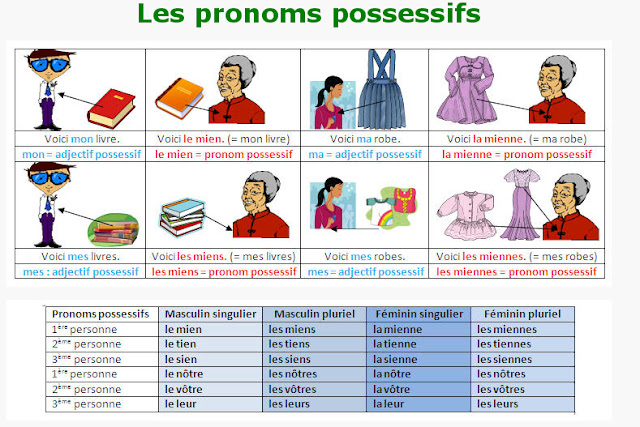 Frances A1 A2 Les Adjectifs Et Pronoms Possessifs