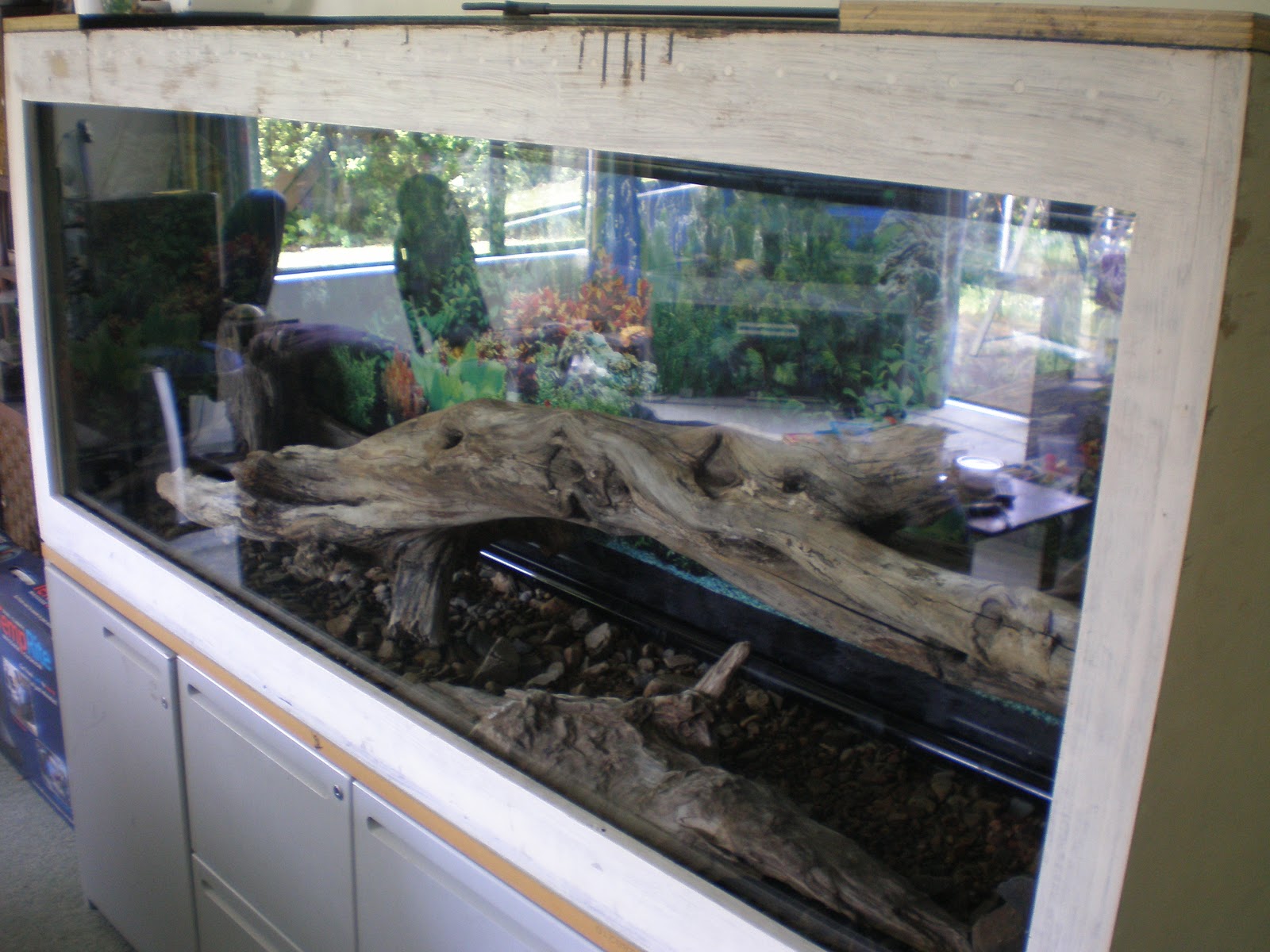 DIY Plywood Aquarium