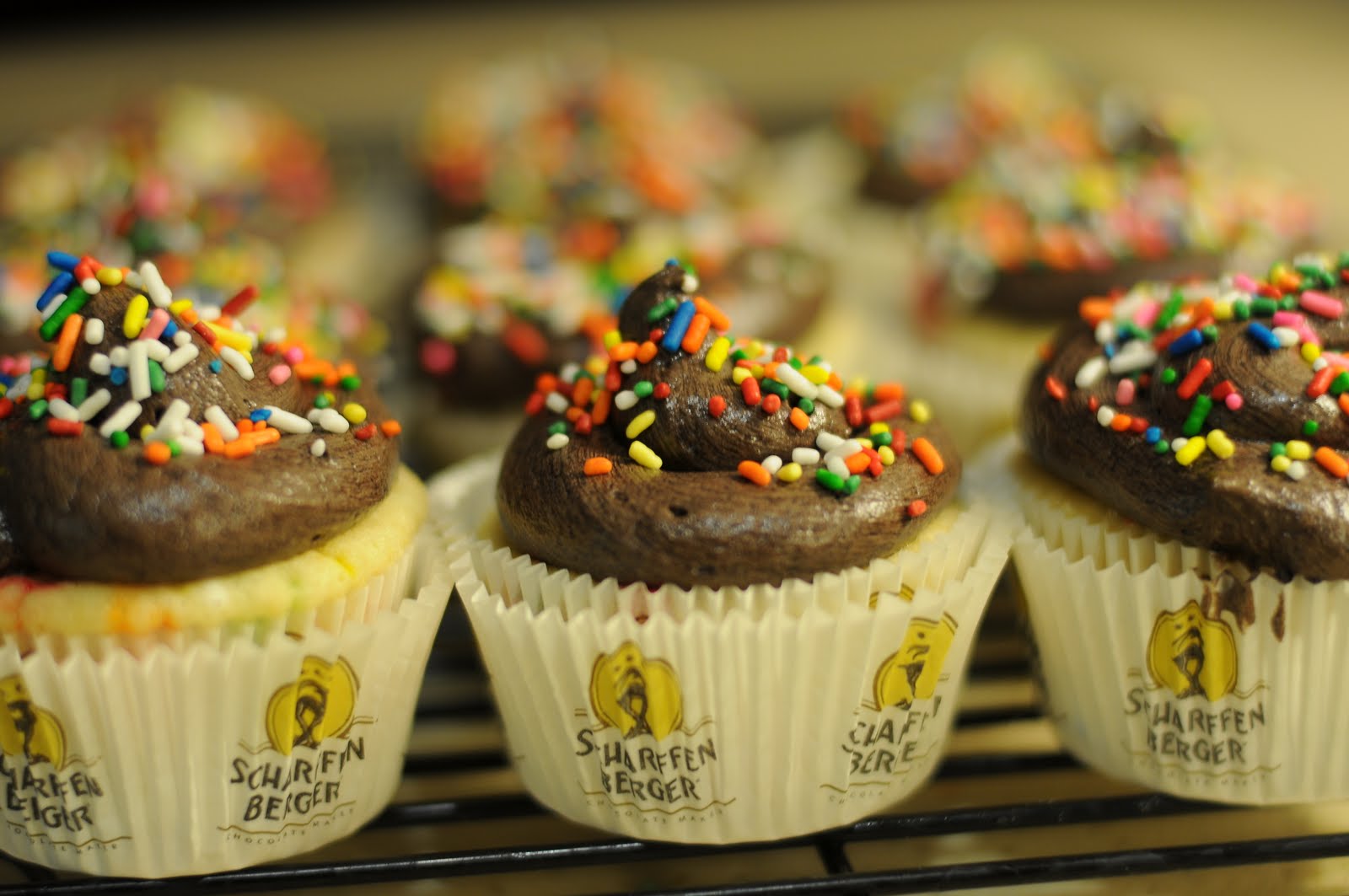 DoItYourself Cupcake Kit Review