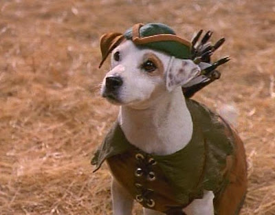 Wishbone Robin Hood