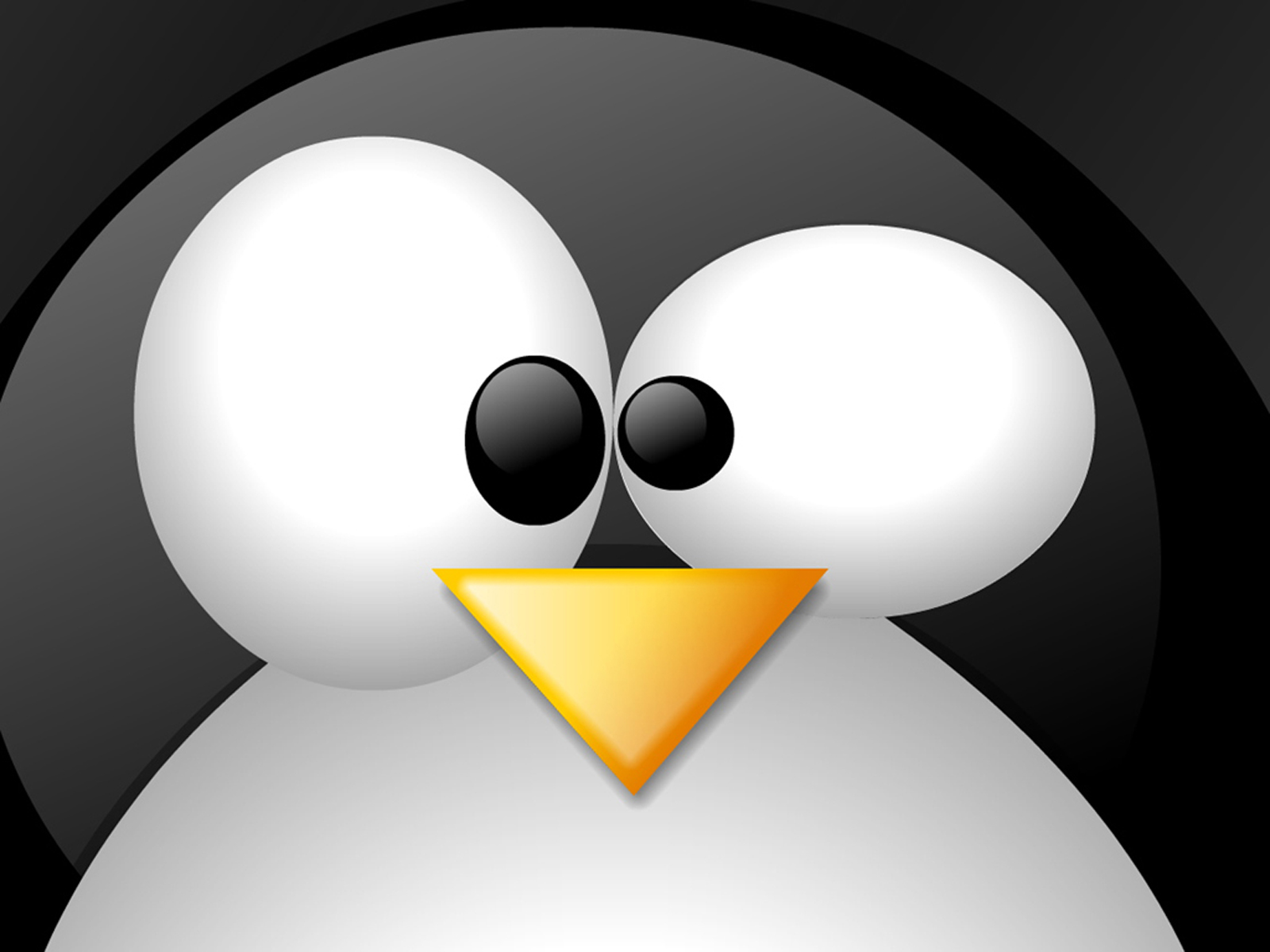 Linux Logo | Top Desktop No.1