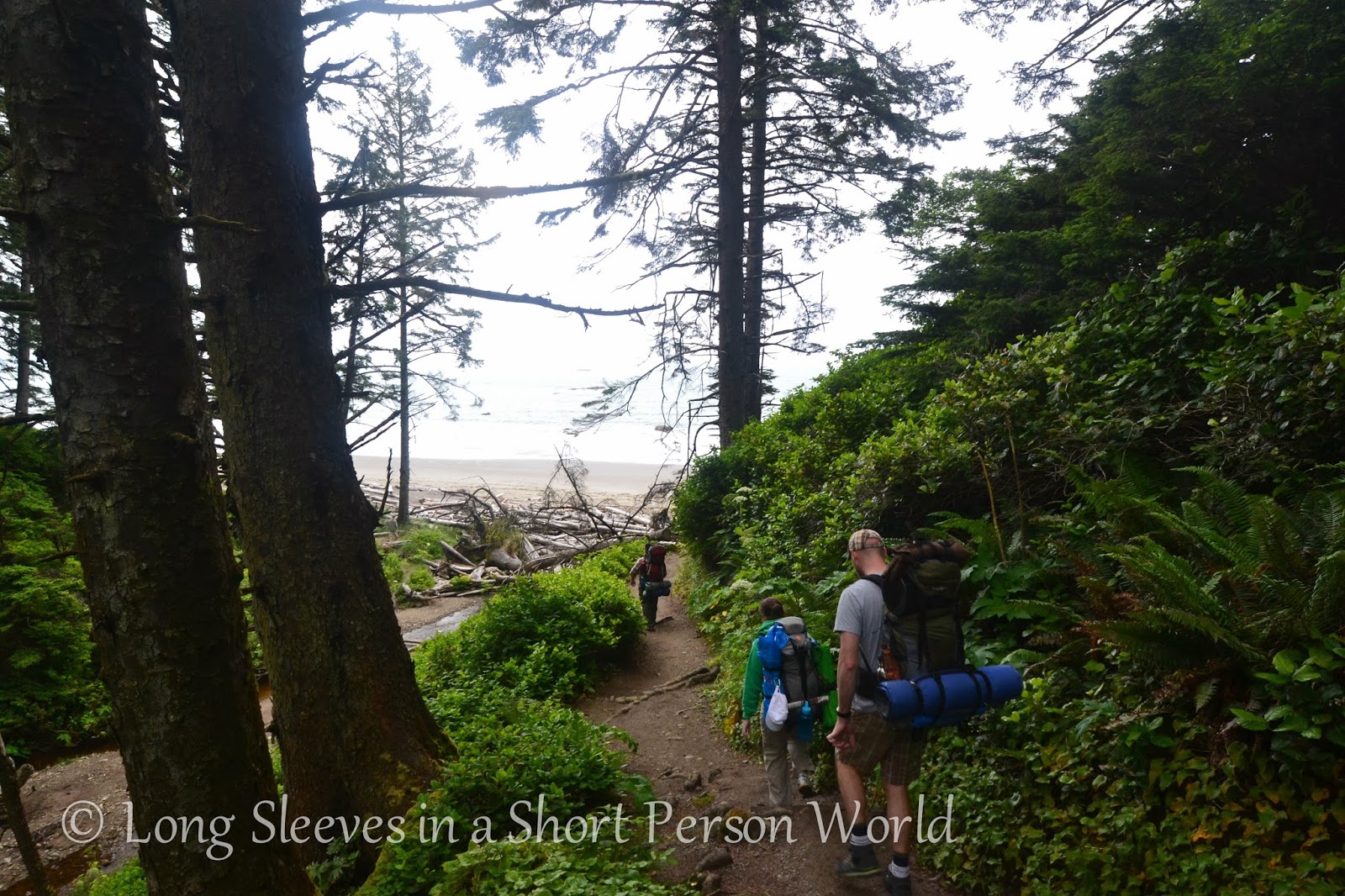 Long Sleeves in a Short Person World Third Beach Hike Near Forks, WA