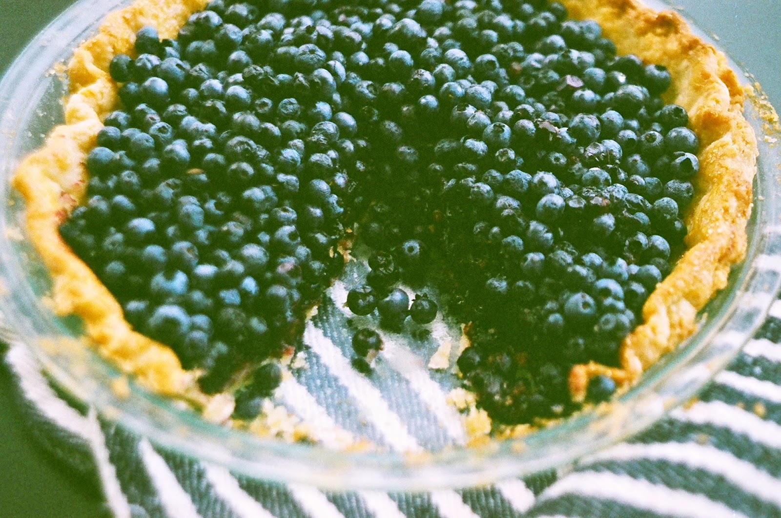 Nothing in the House Fresh Wild Maine Blueberry Pie