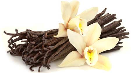 vanilla cupcake recipe ultimate beans vainilla oil safe tahitian pod extract