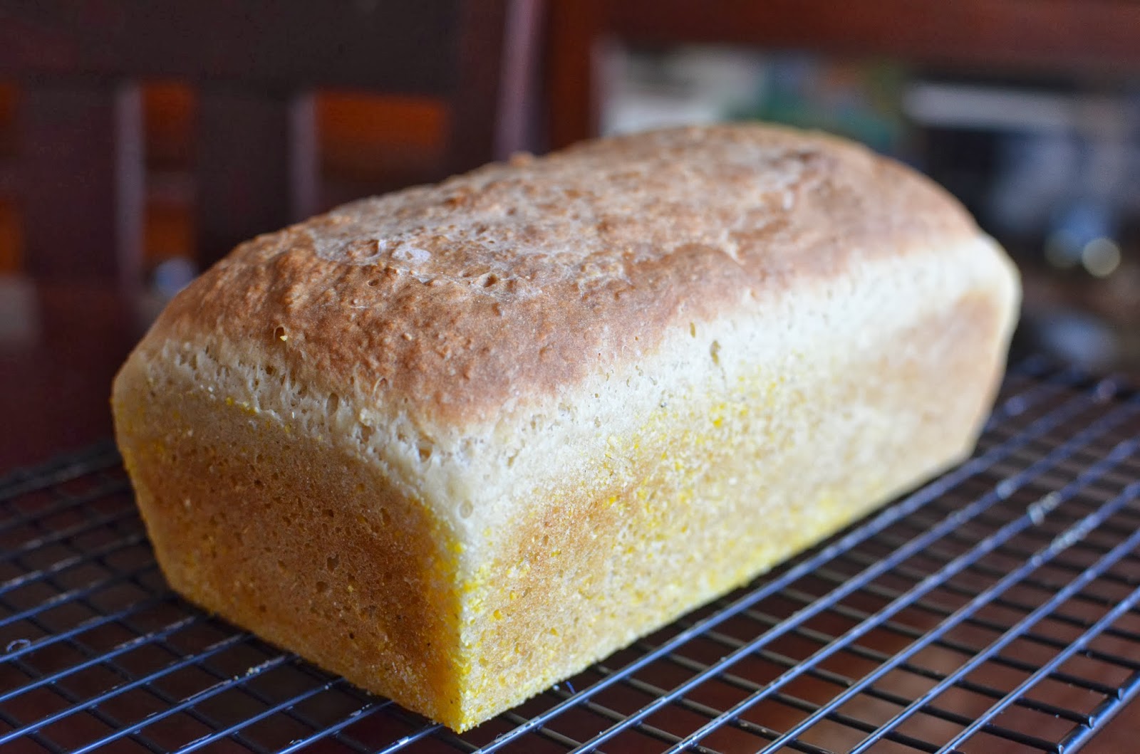 Playing with Flour English muffin loaf bread (it's so easy!)
