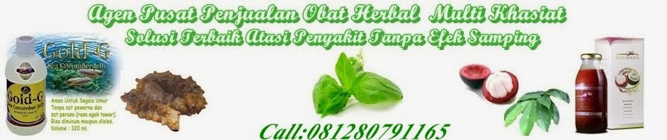 Duta Obat Herbal Indonesia