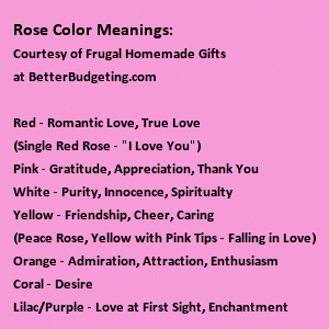 Rose color meanings