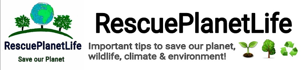 RescuePlanetLife - For Nature / Wildlife 