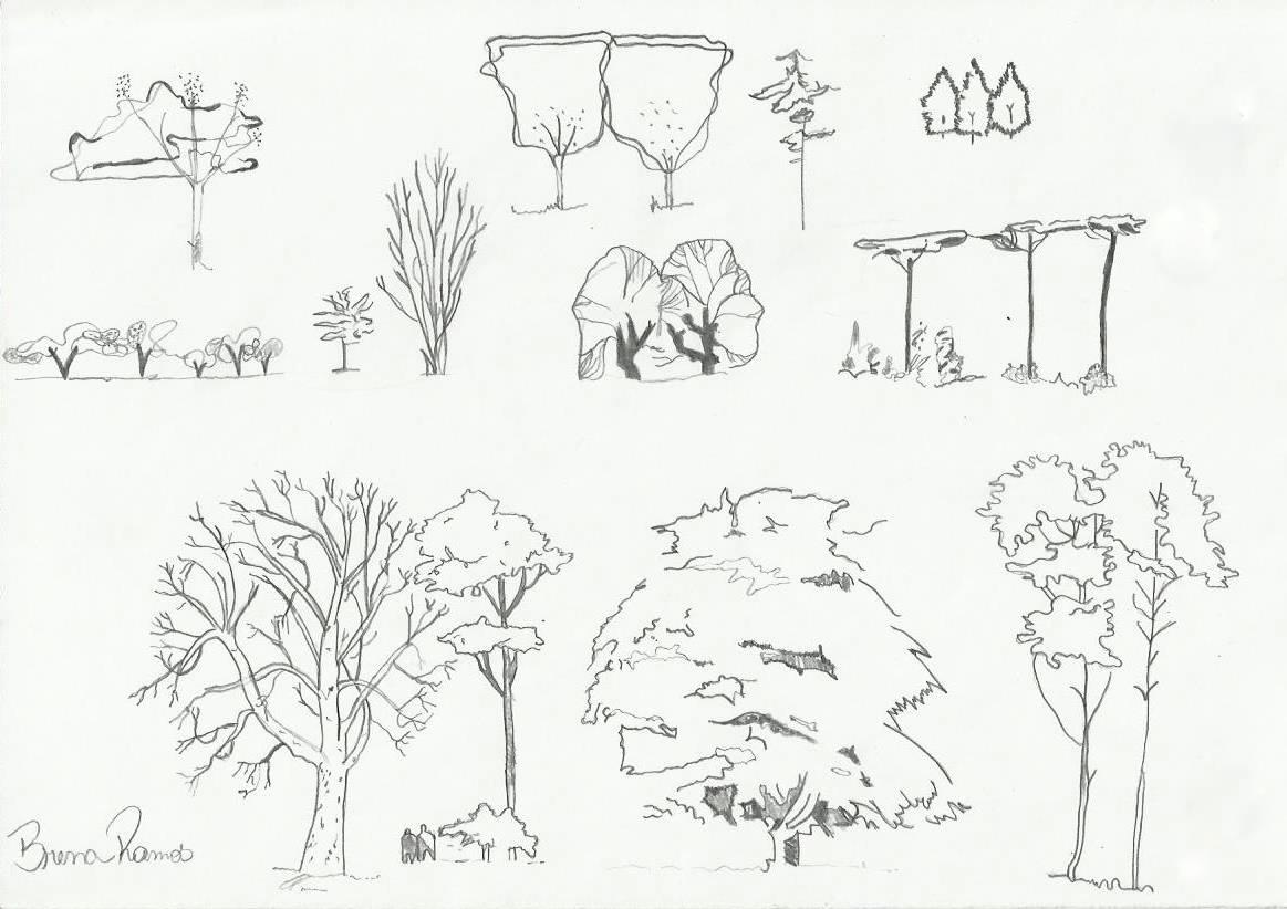 Desenho de Vegetação em Arquitetura e Urbanismo by Editora Blucher