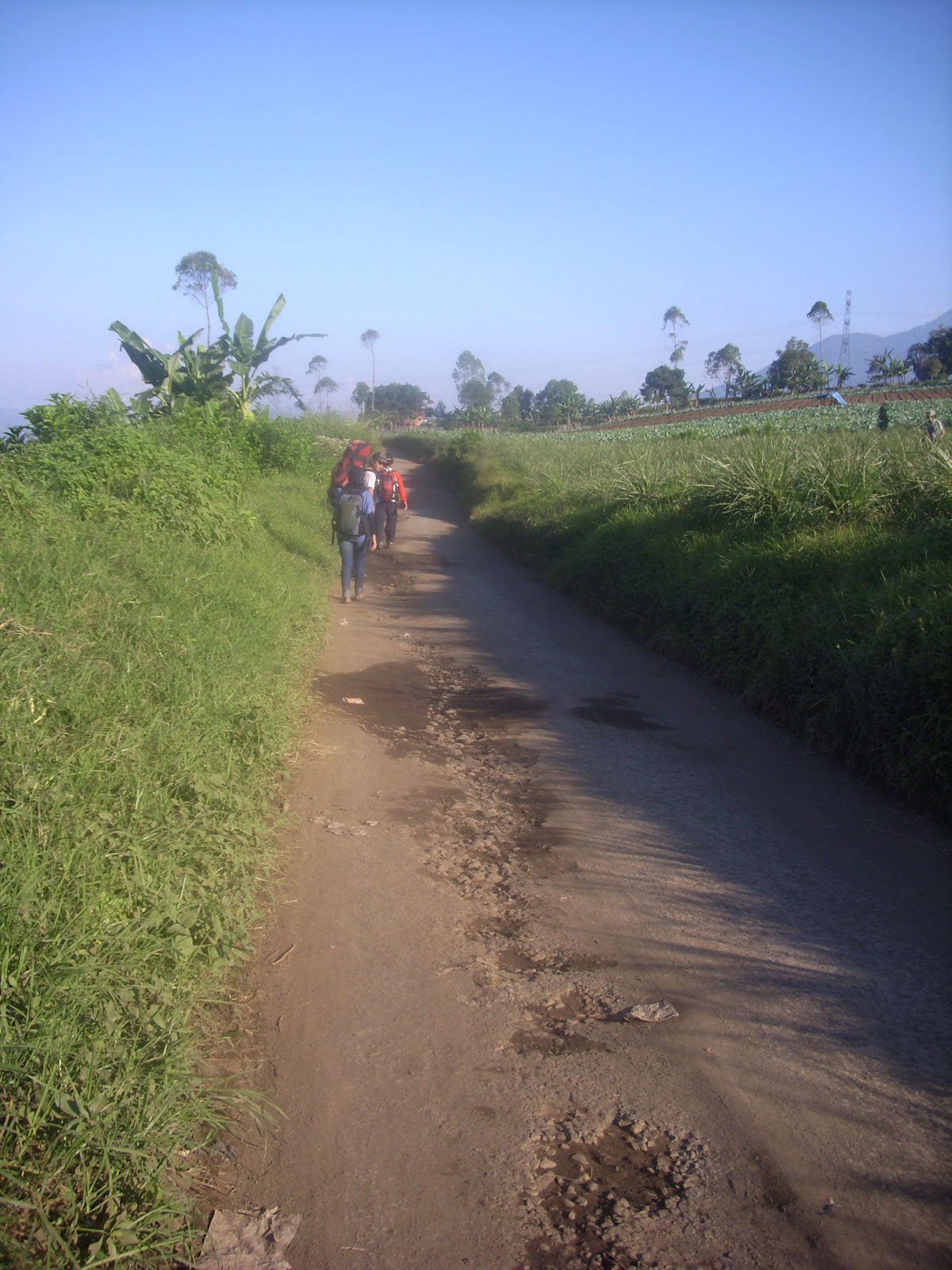 Edelweisbasah Page 5