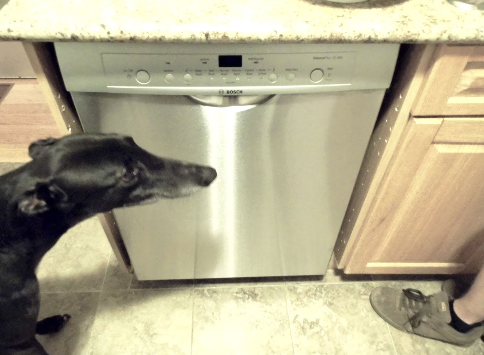 Fresh Coat of Paint Dropping Our Drawers