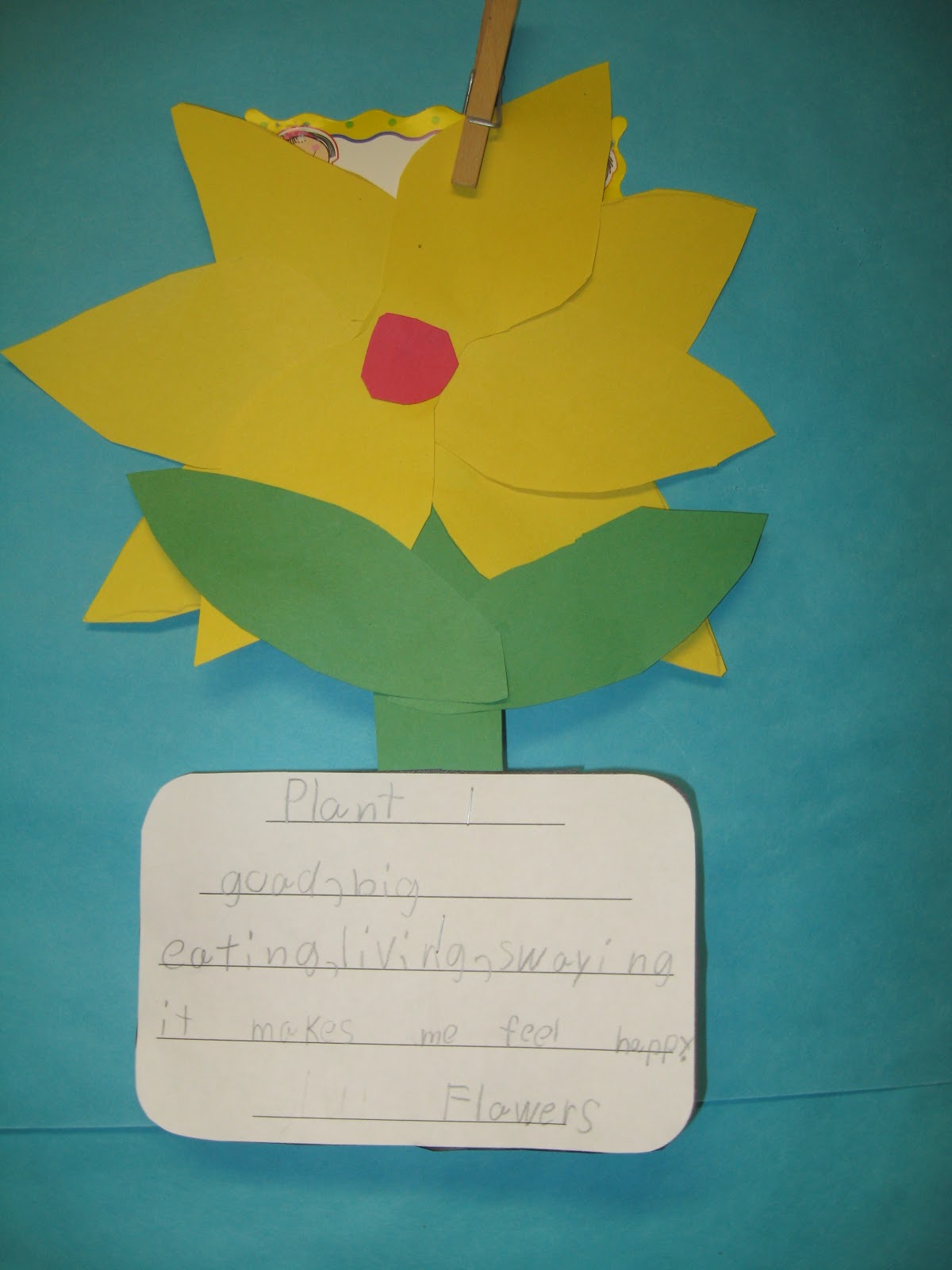 Plants | First Grade Shenanigans